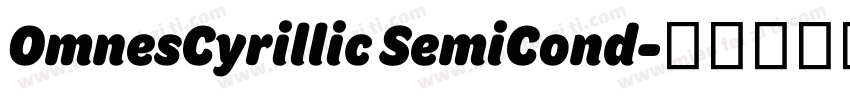 OmnesCyrillic SemiCond字体转换